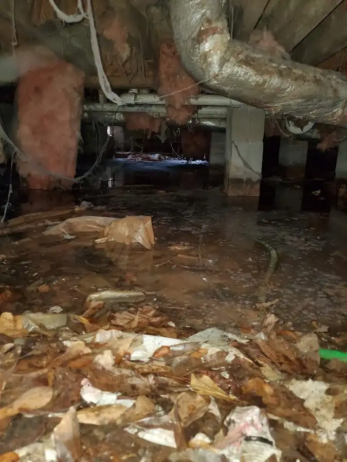 Crawl space flood assessment for Commercial Water Damage Restoration in Burley