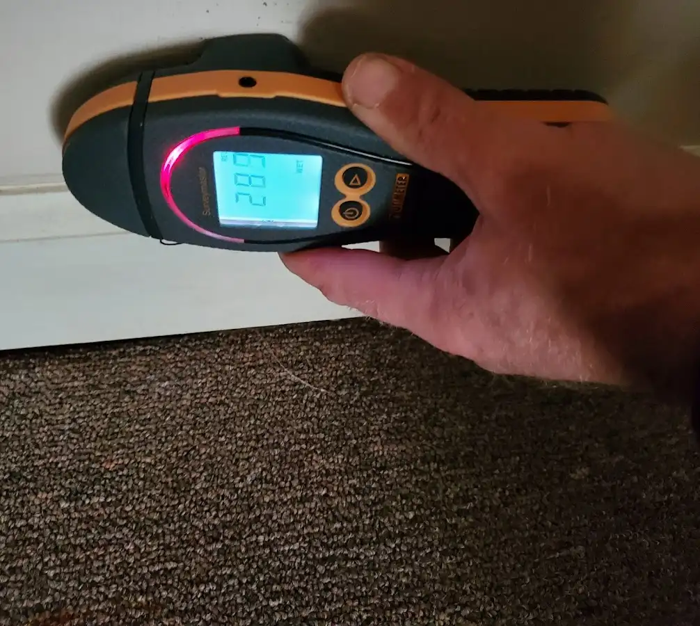 Moisture detection at baseboard during Sewage Cleanup & Sanitation in Burley